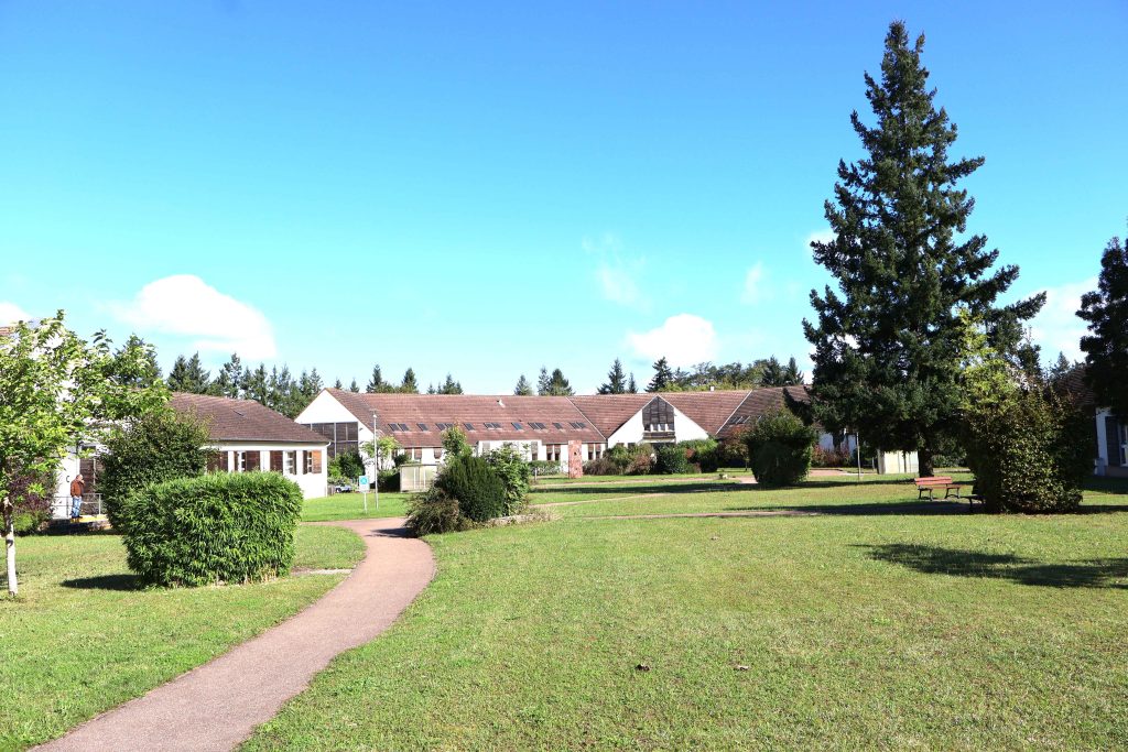 ext_LADAPT ext_LADAPT